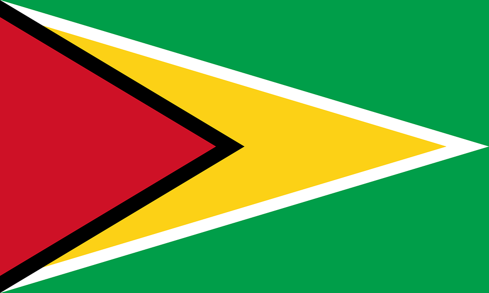 Guyana undergoes fourth WTO Trade Policy Review